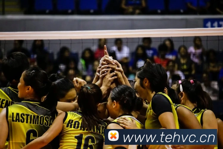 App Interface Preview