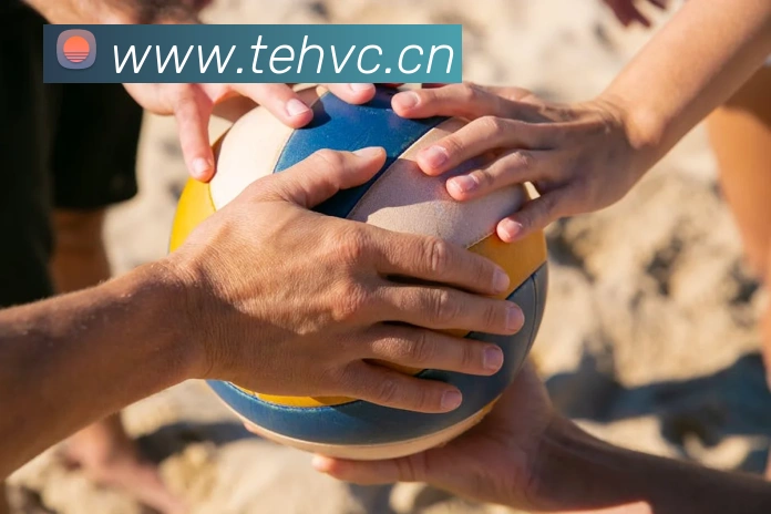 乐鱼官方入口登录APP 封面图